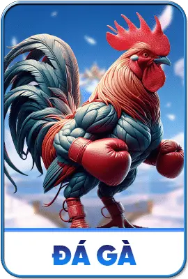 Đá gà
