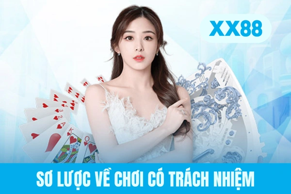 Sơ lược về chơi có trách nhiệm