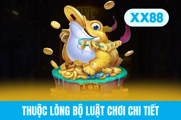 Thuộc lòng bộ luật chơi chi tiết Thuộc lòng bộ luật chơi chi tiết