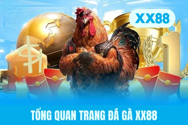 Tổng quan trang đá gà XX88